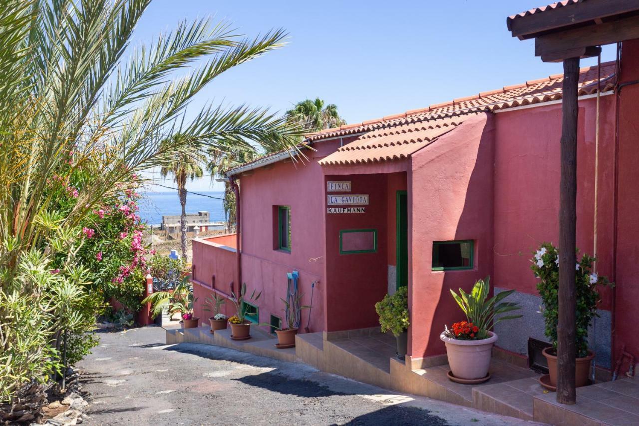 Finca La Gaviota - Maxi Icod De Los Vinos Eksteriør bilde